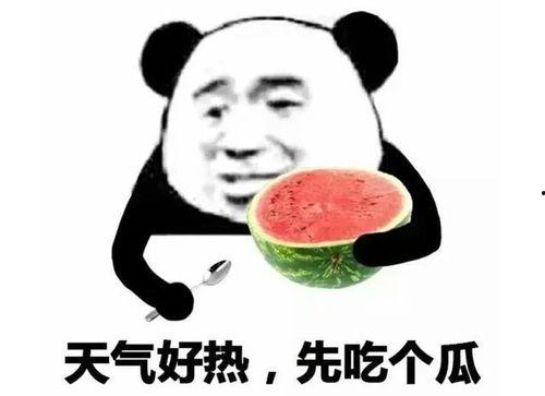 反吃瓜表情包,揭秘网络时代的“冷眼旁观”态度